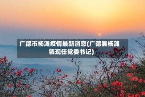 广德市杨滩疫情最新消息(广德县杨滩镇现任党委书记)