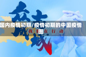 国内疫情初期/疫情初期的中国疫情图