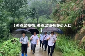 【骆驼坳疫情,骆驼坳镇有多少人口】