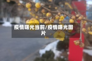 疫情曙光当前/疫情曙光图片