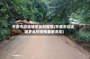 平度市旧店镇罗头村疫情(平度市旧店镇罗头村疫情最新消息)