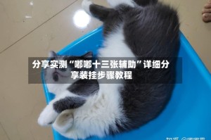 分享实测“嘟嘟十三张辅助”详细分享装挂步骤教程