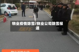 物业疫情除雪/物业公司除雪报道
