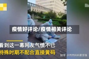 疫情好评论/疫情相关评论