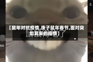 【鼠年对抗疫情,庚子鼠年春节,面对突如其来的疫情】