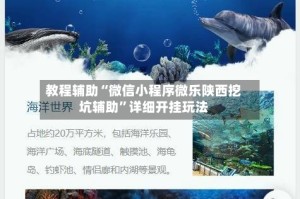 教程辅助“微信小程序微乐陕西挖坑辅助”详细开挂玩法