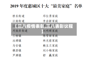 【三八疫情表彰,三八表彰议程】