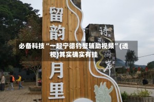 必备科技“一起宁德钓蟹辅助视频”(透视)其实确实有挂