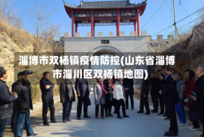 淄博市双杨镇疫情防控(山东省淄博市淄川区双杨镇地图)