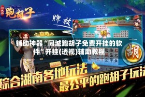 辅助神器“同城跑胡子免费开挂的软件”开挂(透视)辅助教程