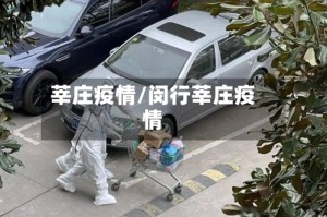 莘庄疫情/闵行莘庄疫情