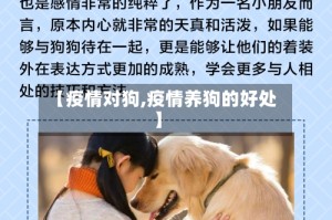 【疫情对狗,疫情养狗的好处】