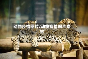 动物疫情图片/动物疫情图片素材