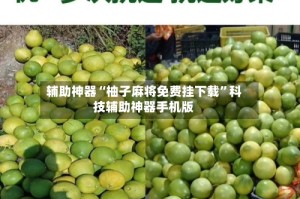 辅助神器“柚子麻将免费挂下载”科技辅助神器手机版