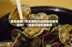 教程辅助“闲来麻将开挂神器到底有挂吗？”详细开挂安装教程