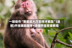 一键操作“新蜜瓜大厅怎样才能赢”(透视)开挂辅助脚本+详细开挂安装教程