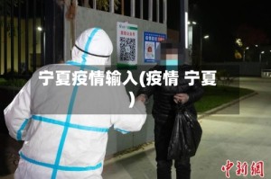 宁夏疫情输入(疫情 宁夏)