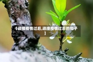 【迎接疫情过后,迎接疫情过后的句子】