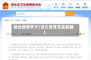 湖北疫情照片(湖北疫情真实数据)