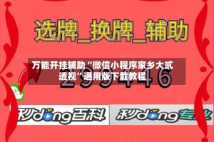 万能开挂辅助“微信小程序家乡大贰透视”通用版下载教程