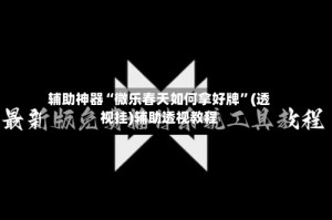 辅助神器“微乐春天如何拿好牌”(透视挂)辅助透视教程