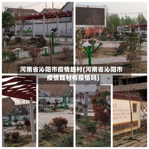 河南省沁阳市疫情魏村(河南省沁阳市疫情魏村有疫情吗)-第2张图片