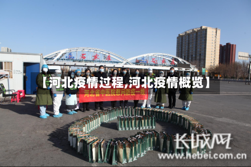 【河北疫情过程,河北疫情概览】-第2张图片