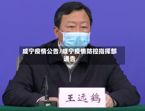 咸宁疫情公告/咸宁疫情防控指挥部通告-第3张图片