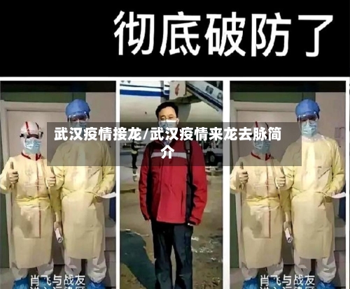 武汉疫情接龙/武汉疫情来龙去脉简介-第1张图片
