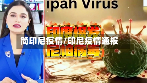 简印尼疫情/印尼疫情通报-第2张图片