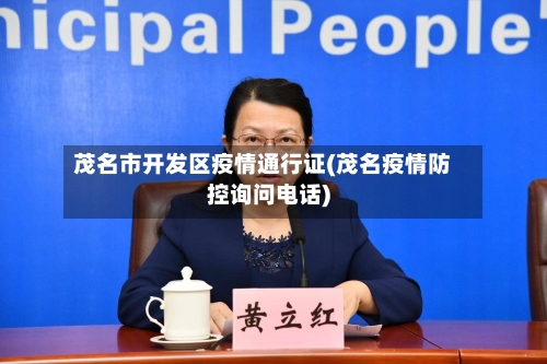 茂名市开发区疫情通行证(茂名疫情防控询问电话)-第3张图片