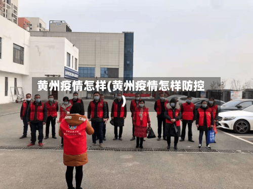 黄州疫情怎样(黄州疫情怎样防控)-第2张图片