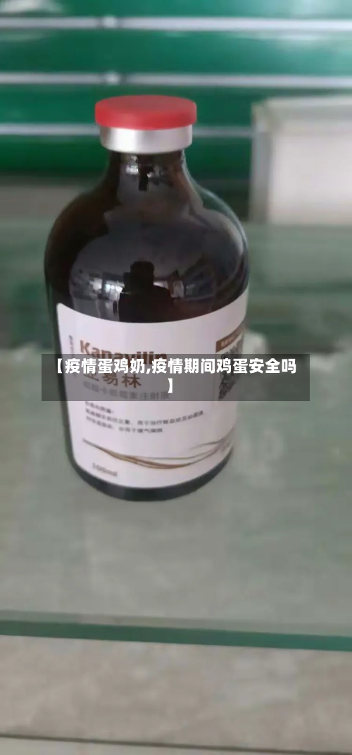 【疫情蛋鸡奶,疫情期间鸡蛋安全吗】-第2张图片