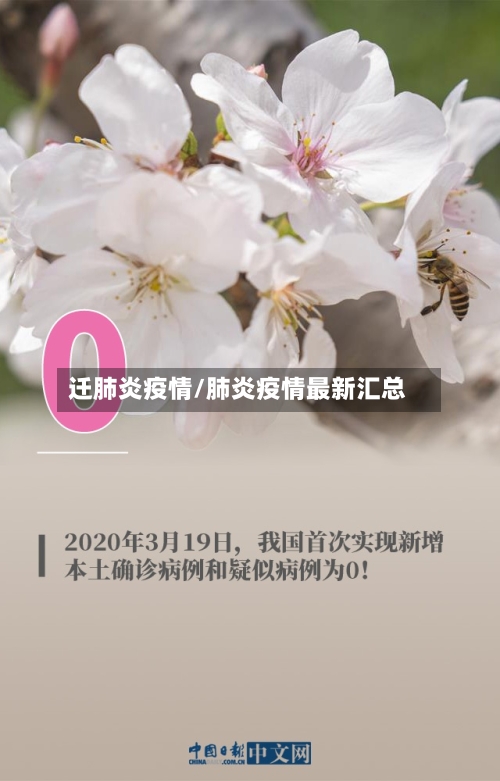 迁肺炎疫情/肺炎疫情最新汇总-第1张图片