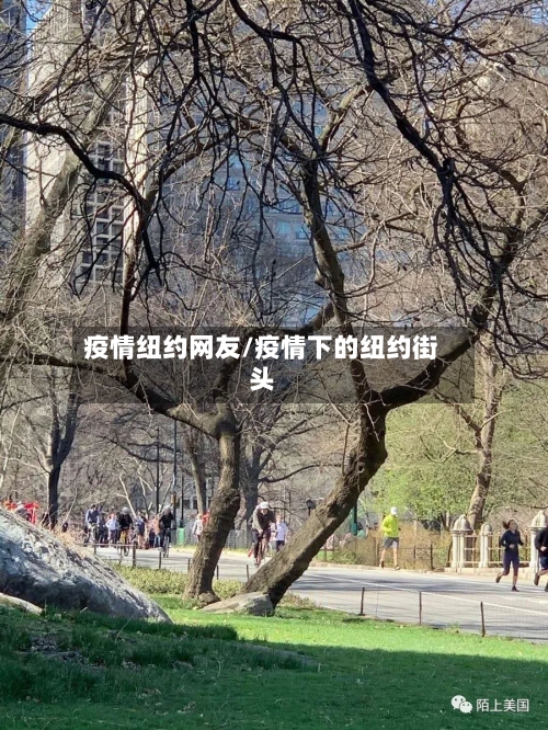 疫情纽约网友/疫情下的纽约街头-第3张图片