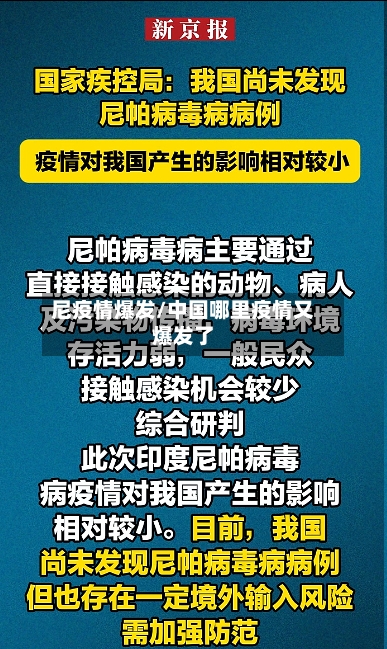 尼疫情爆发/中国哪里疫情又爆发了-第2张图片