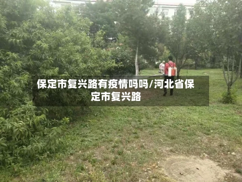 保定市复兴路有疫情吗吗/河北省保定市复兴路-第3张图片