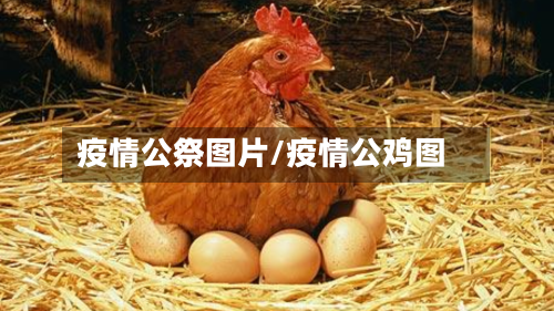 疫情公祭图片/疫情公鸡图-第3张图片