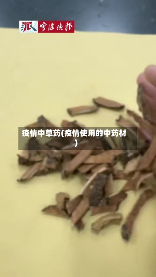 疫情中草药(疫情使用的中药材)-第2张图片