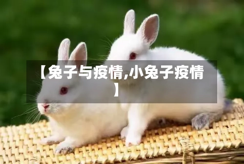 【兔子与疫情,小兔子疫情】-第1张图片