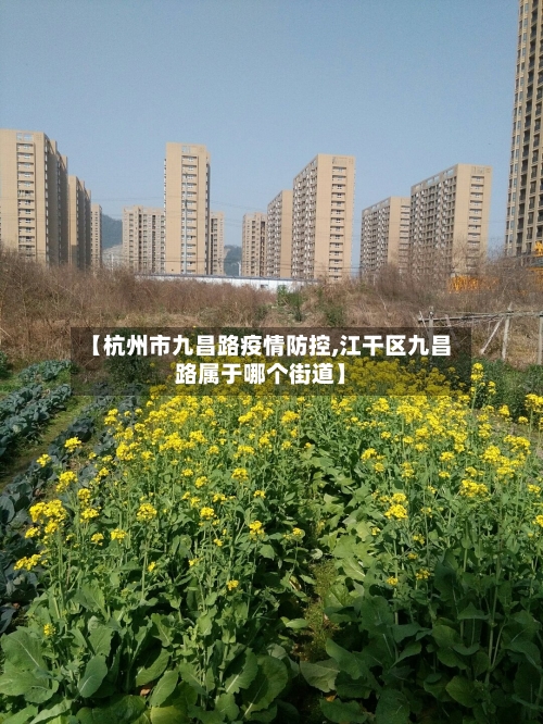 【杭州市九昌路疫情防控,江干区九昌路属于哪个街道】-第1张图片