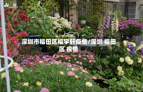 深圳市福田区福宇轩疫情/深圳 福田区 疫情-第1张图片