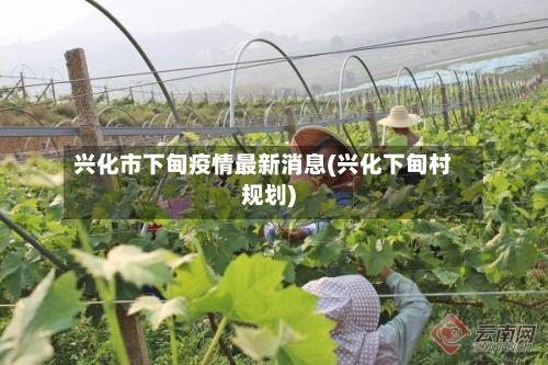 兴化市下甸疫情最新消息(兴化下甸村规划)-第3张图片