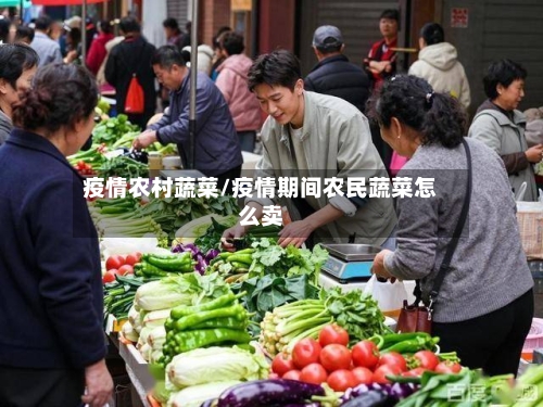 疫情农村蔬菜/疫情期间农民蔬菜怎么卖-第1张图片