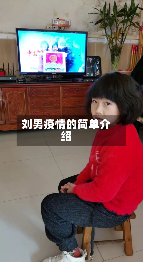 刘男疫情的简单介绍-第1张图片