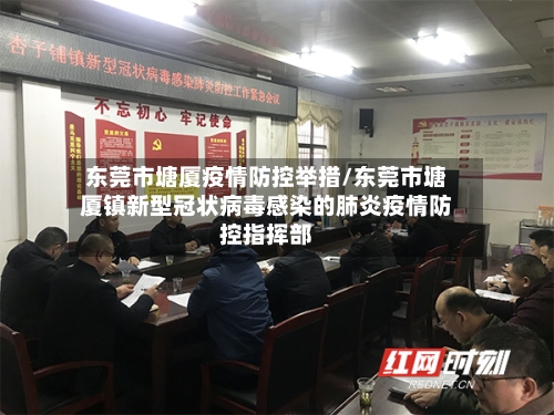 东莞市塘厦疫情防控举措/东莞市塘厦镇新型冠状病毒感染的肺炎疫情防控指挥部-第2张图片