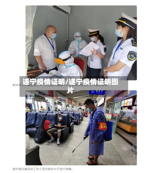 遂宁疫情证明/遂宁疫情证明图片-第2张图片