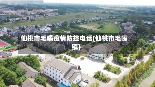 仙桃市毛嘴疫情防控电话(仙桃市毛嘴镇)-第1张图片