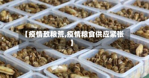 【疫情致粮荒,疫情粮食供应紧张】-第3张图片