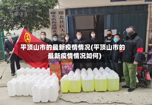 平顶山市的最新疫情情况(平顶山市的最新疫情情况如何)-第1张图片